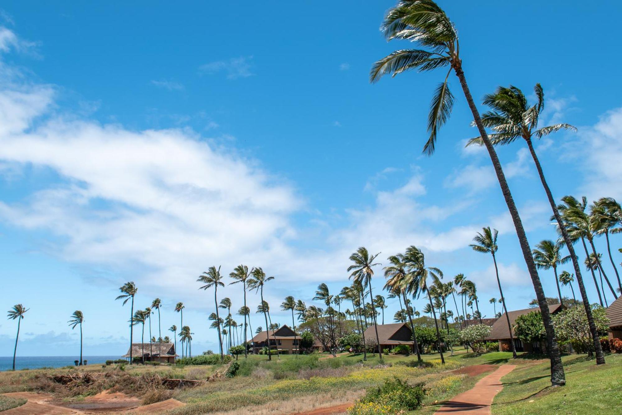 Kepuhi Beach Resort Maunaloa Δωμάτιο φωτογραφία